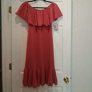 BNWT LULAROE CICI